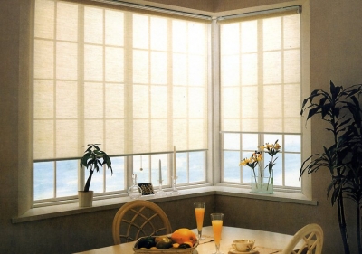 Interior Manual Roller Blind